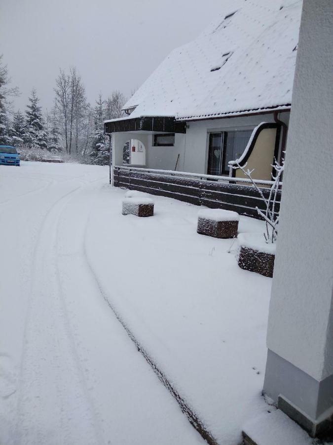 Ferienwohnung Rita フロイデンシュタット エクステリア 写真
