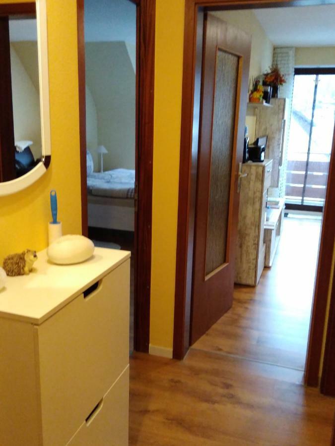 Ferienwohnung Rita フロイデンシュタット エクステリア 写真